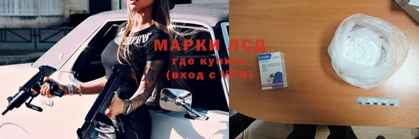 индика Абаза