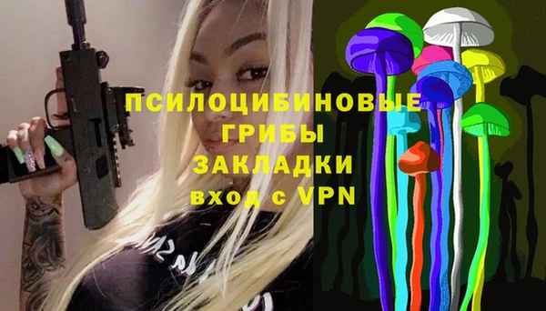 индика Абаза