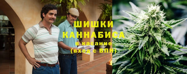 индика Абаза
