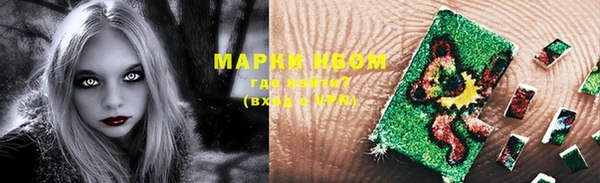 индика Абаза