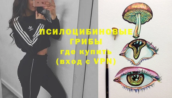 индика Абаза