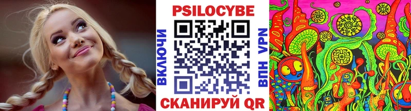 дарк нет телеграм  Новотроицк  Галлюциногенные грибы MAGIC MUSHROOMS  OMG зеркало 