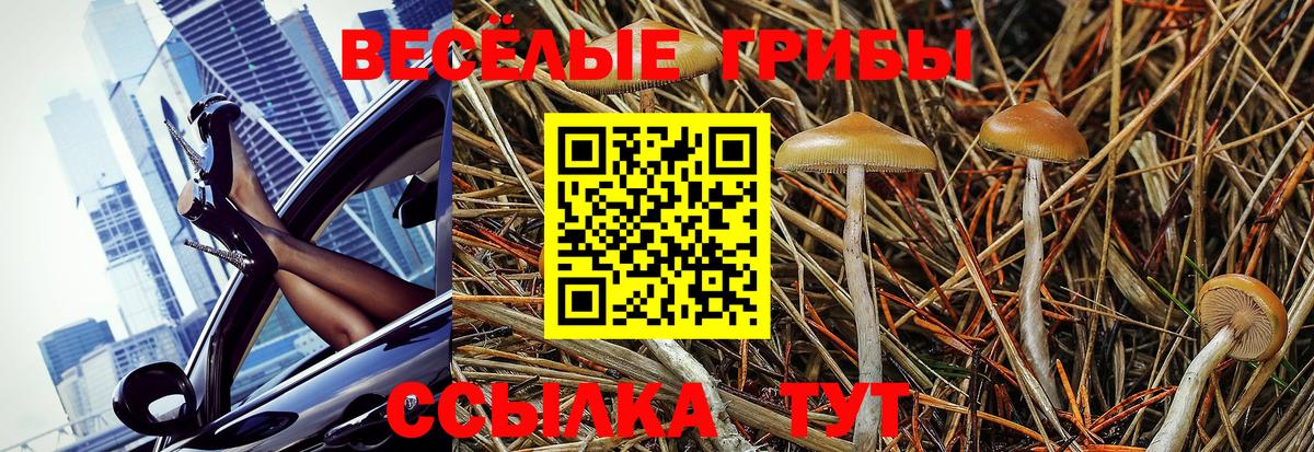 закладки  Галлюциногенные грибы GOLDEN TEACHER  Вход с VPN  Новотроицк 